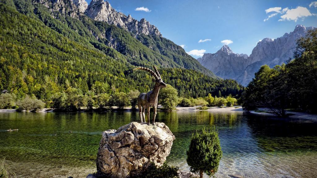 Apartment Mojstrovka With Terrace In City Center Kranjska Gora Chambre photo